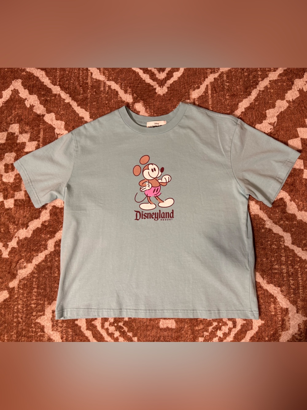 Micky & friends official mouse wear Disneyland Resort Tee NWOT medium pastel
